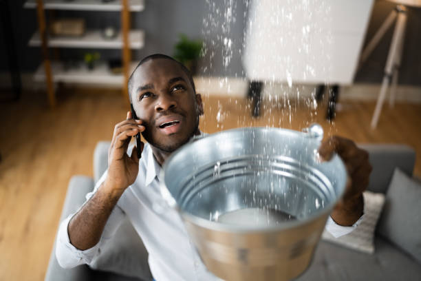 Best Mold removal after water damage  in Ipswich, SD