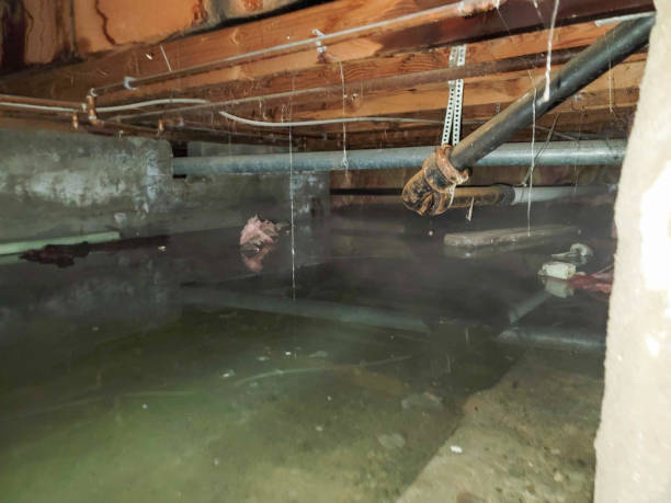 Best Flooded house restoration  in Ipswich, SD