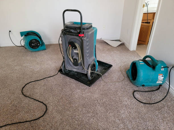 Best Water damage cleanup near me  in Ipswich, SD