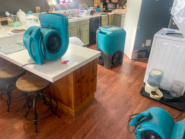Best Commercial water damage restoration  in Ipswich, SD