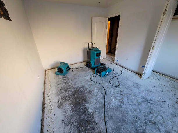 Best 24-hour water damage restoration  in Ipswich, SD