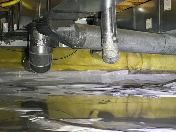 Best Water damage restoration specialists  in Ipswich, SD