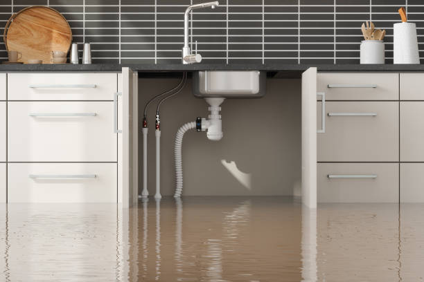 Best Water damage restoration near me  in Ipswich, SD