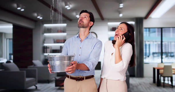 Best Water damage restoration services  in Ipswich, SD