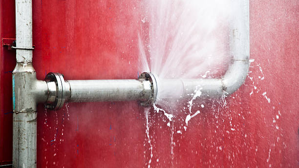 Best Flood damage cleanup  in Ipswich, SD